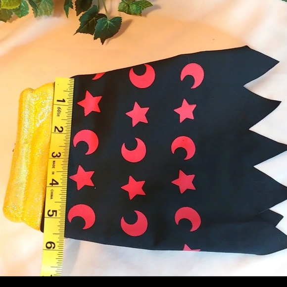 Pet Costume. Cute little cape. Size Small. Like New. - Picture 6 of 7